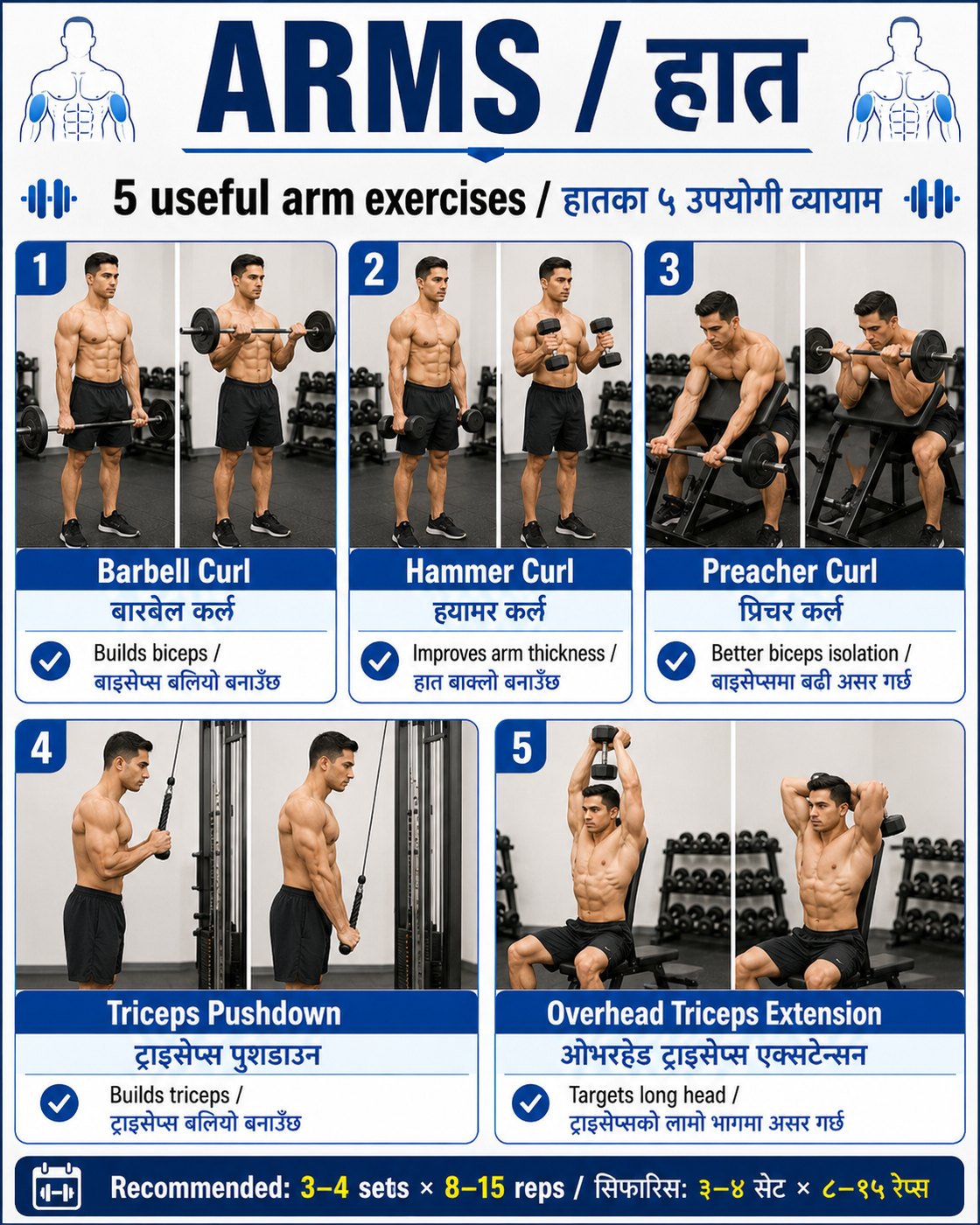 Bilingual arm exercise guide